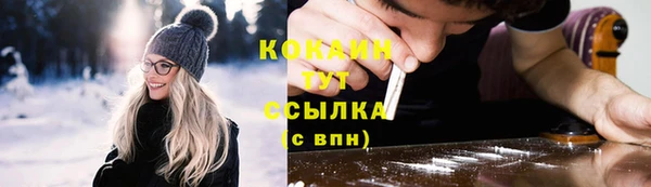apvp Алексин