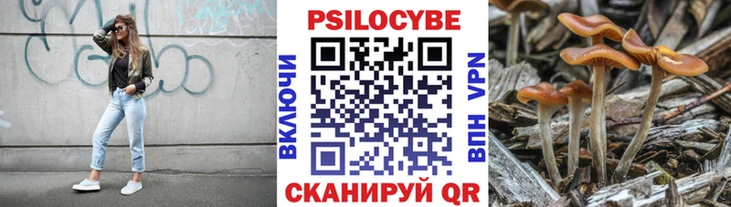 купить наркотик Кулебаки Псилоцибиновые грибы прущие грибы